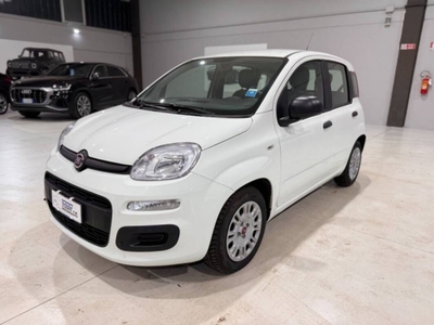 Fiat Panda 1.0 firefly hybrid s&s 70cv 5p.ti usato