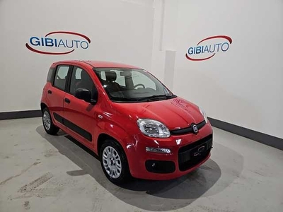 Fiat Panda 1.2 Easy usato