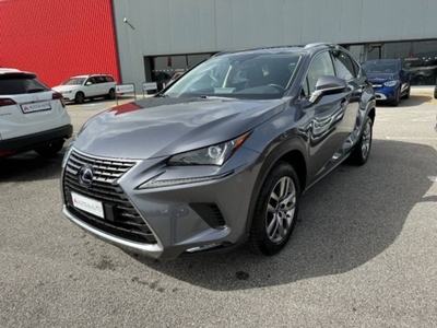 Lexus NX 350h 2.5 Business 2wd e-cvt usato