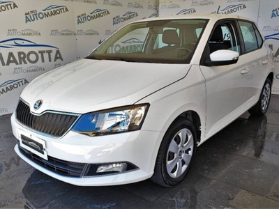 Skoda Fabia 1.4 TDI 90 CV Executive usato