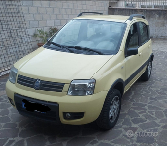 Usato 2006 Fiat Panda 4x4 1.2 Diesel 69 CV (5.500 €)