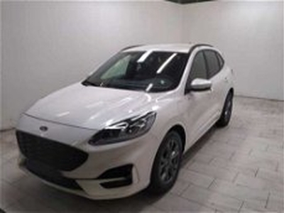 Ford Kuga 2.5 Plug In Hybrid 225 CV CVT 2WD ST-Line X del 2020 usata a Cuneo