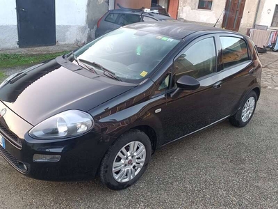 Usato 2015 Fiat Punto Evo 1.2 Benzin 69 CV (5.750 €)