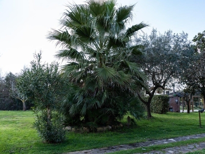 Casa singola a Pisa, 6 locali, 3 bagni, giardino privato, 150 m²