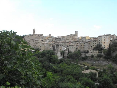 Negozio in Vendita a Serra San Quirico Serra San Quirico