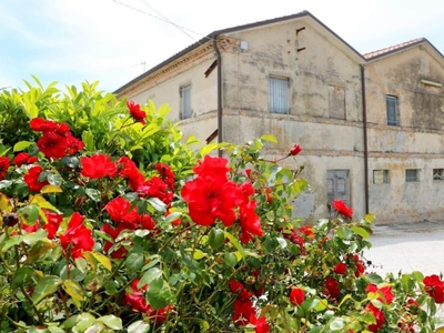 rustico / casale in vendita a Ancona