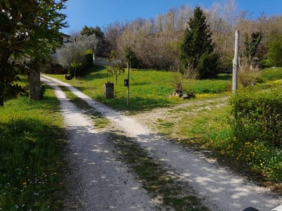 Rustico in Vendita a Torreglia