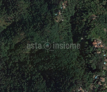 Terreno Agricolo in vendita a Camaiore