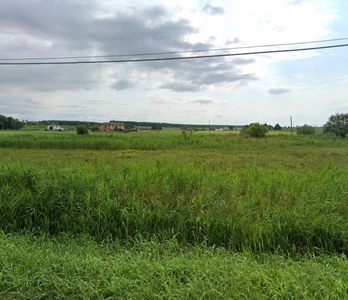 Terreno agricolo in Vendita a Taglio di Po Pisana