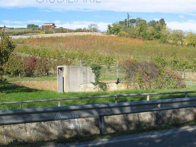 Terreno Agricolo in vendita, Cesena calisese