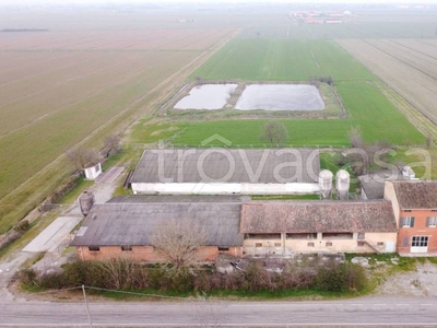 Azienda Agricola in vendita a Colorno via al Serraglio, 35