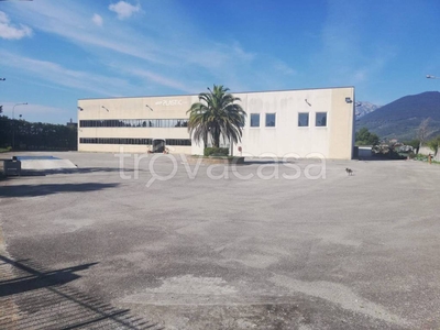 Capannone Industriale in in vendita da privato a San Salvatore Telesino via Mirandoli, 10