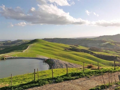 In Vendita: Proprietà Agricola con Pascoli e Allevamenti ad Asciano, Toscana