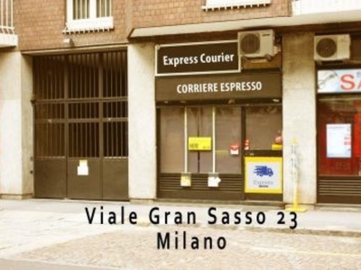 Hobby/Tempo Libero in in vendita da privato a Milano viale Gran Sasso, 23