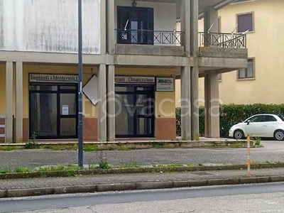 Negozio in vendita a Castelnuovo Cilento via Arbosto