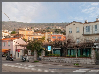 Negozio in vendita a Trieste viale Miramare, 133