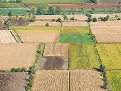 Terreno agricolo in vendita a Vigonza