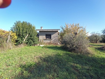 Fonte Nuova - indipendente - € 82.000 - T101