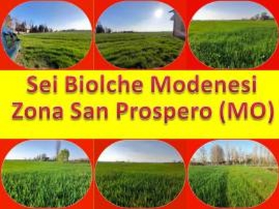 Terreno Agricolo Seminativo da 6 Biolche Modenesi