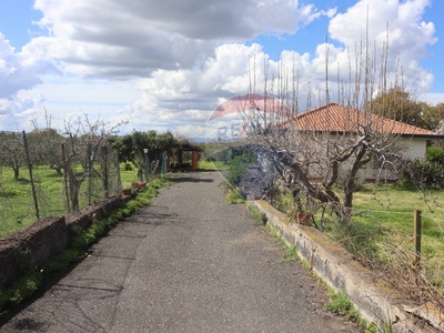 Villa in Contrada Pezza di Fuoco, Motta Sant'Anastasia, 3 locali