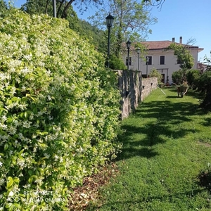 Villa in Roccamonfina - Via Giglioni, Roccamonfina, 14 locali, 5 bagni