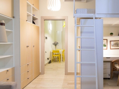 Appartamento monolocale in affitto a Citta 'Studi, Milano