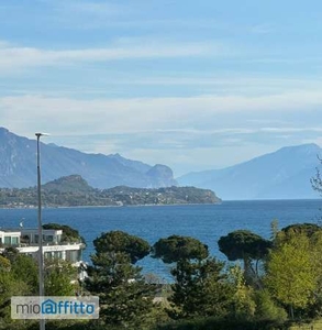 Bilocale arredato con piscina Desenzanino