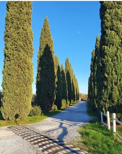 Bilocale in zona San Pietro in Palazzi a Cecina