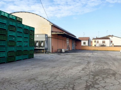 Capannone in vendita a Ferrara - Zona: Porotto - Cassana