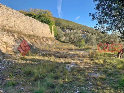 Terreno Agricolo in vendita a Cervaro