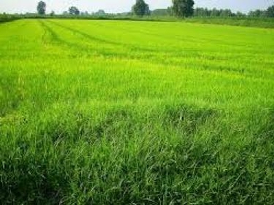 Terreno Agricolo in vendita a Cornate d'Adda