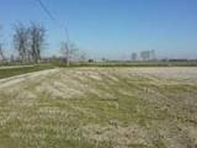 Terreno Agricolo in vendita a Jesi