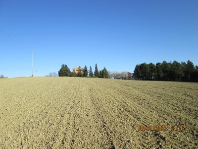 Terreno Agricolo in vendita a Jesi