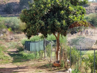 Terreno Agricolo in vendita a Roma