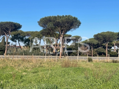 Terreno Agricolo in vendita a Roma - Zona: 38 . Acilia, Vitinia, Infernetto, Axa, Casal Palocco, Madonnetta