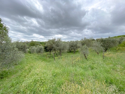 Terreno Agricolo in vendita a Soriano nel Cimino