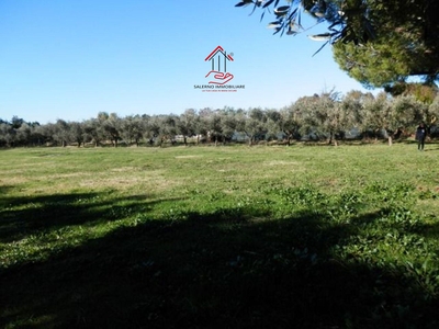 Terreno Agricolo in vendita a Tarquinia