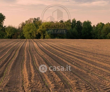 Terreno agricolo in Vendita in a Inverigo