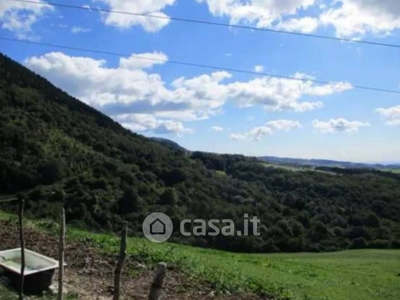 Terreno agricolo in Vendita in SP12 a Sant'Anna d'Alfaedo