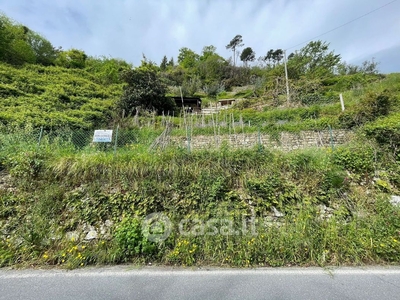 Terreno agricolo in Vendita in Strada Provinciale Sud a Ceriana