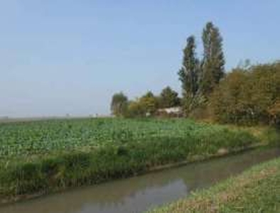 Terreno agricolo in Vendita in Via Passiva a Legnago