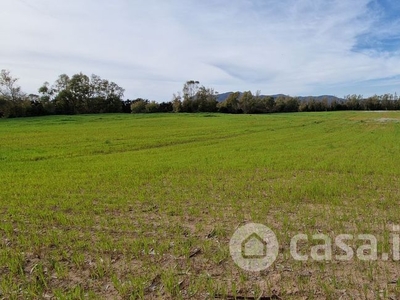 Terreno agricolo in Vendita in Via Pattada 16 a Sassari