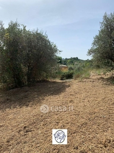 Terreno agricolo in Vendita in Strada del Fontanile a Palombara Sabina