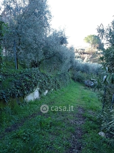 Terreno agricolo in Vendita in Strada di San Francesco a Palombara Sabina
