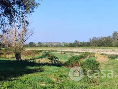 Terreno edificabile in Vendita in Via Isola Serafini 40 a Monticelli d'Ongina