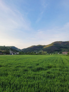 terreno residenziale in vendita a Galzignano Terme