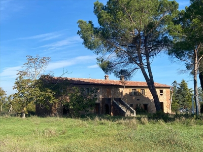 Vendita Rustico/Casale/Corte in Castiglione del Lago