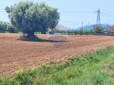 Vendita Terreno