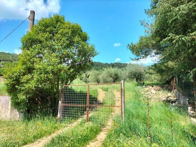 Vendita Terreno Residenziale in Magione