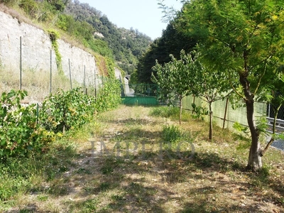 terreno agricolo in vendita a Airole